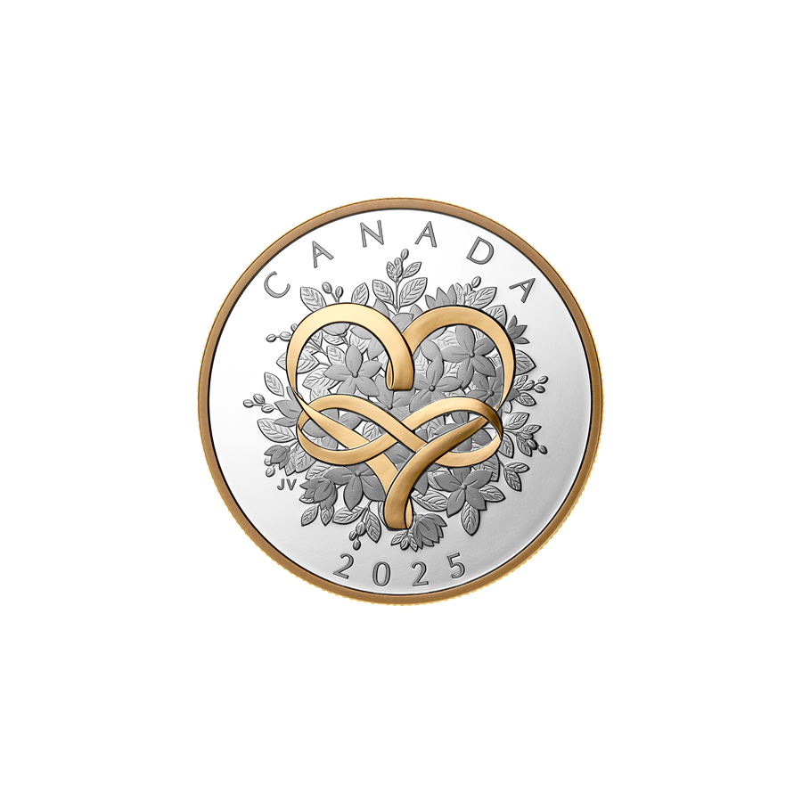 this decision shall enter into force on the date of its adoption