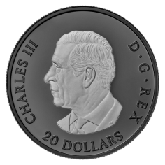 -oz Silver Elegant Maple Leaf Black Rhodium Gem Proof - 24h Shipping! 2