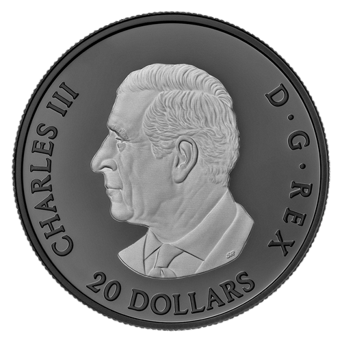 -oz Silver Elegant Maple Leaf Black Rhodium Gem Proof - 24h Shipping!