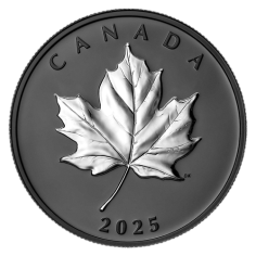 -oz Silver Elegant Maple Leaf Black Rhodium Gem Proof - 24h Shipping!