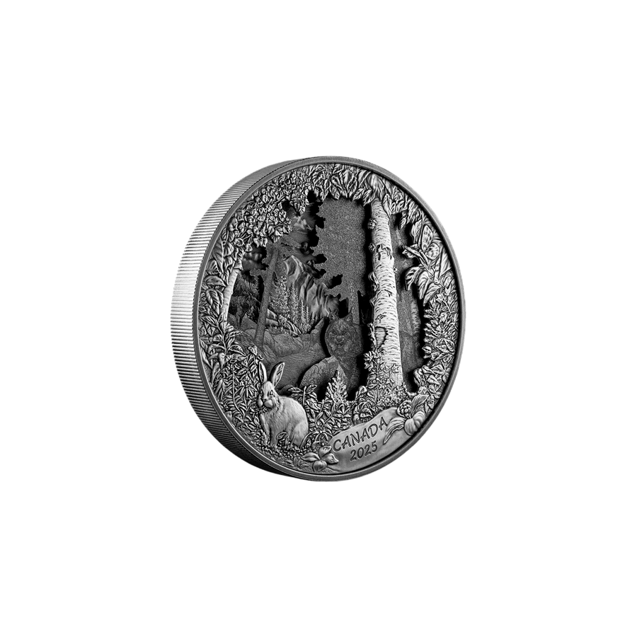 2025 Predator or Prey in Shadow Box Silver Coin - 24h Shipping!