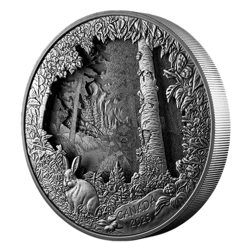 2025 Predator or Prey in Shadow Box Silver Coin - 24h Shipping!