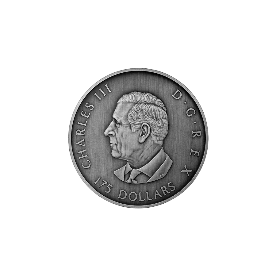 srebrna-moneta-predator-or-prey-in-shadow-box-awers