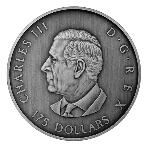 2025 Predator or Prey in Shadow Box Silver Coin - 24h Shipping!