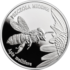 Honey Bee (Apis mellifera) – Animals of the World – 1 oz Silver Proof - 24h Shipping!