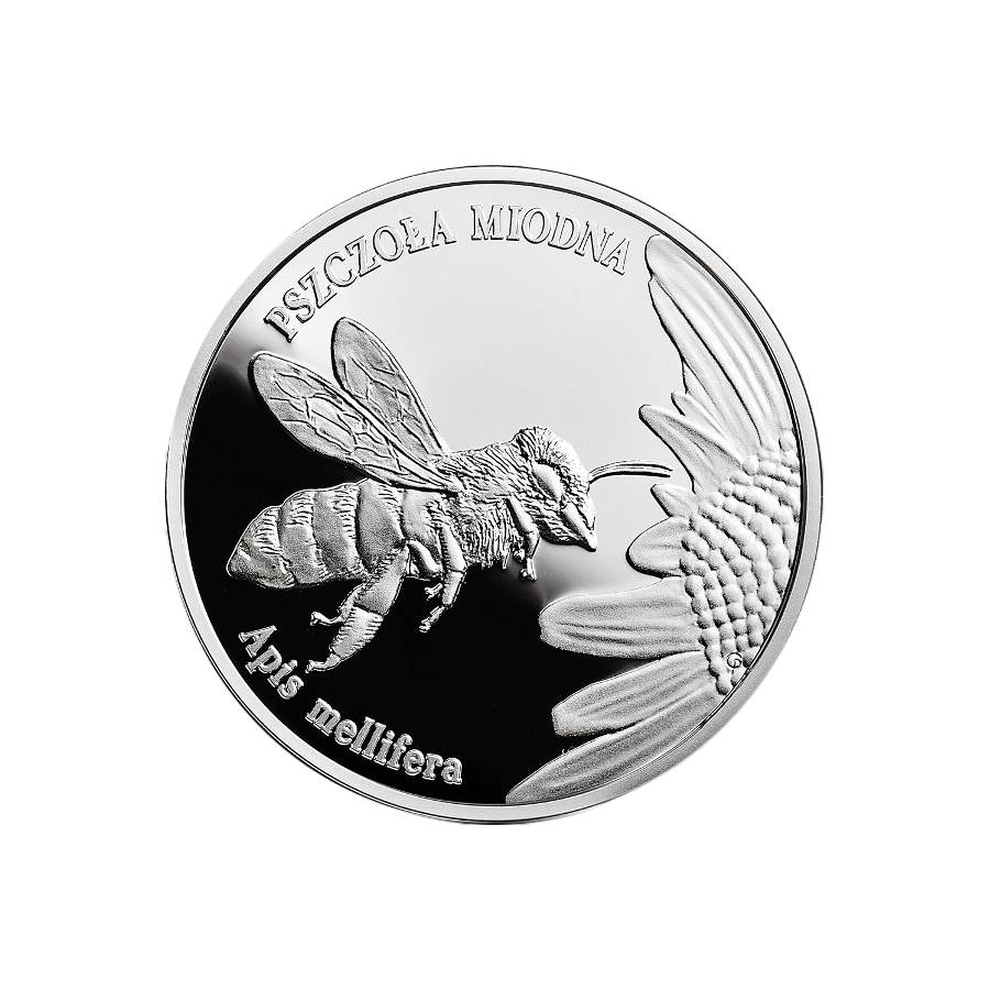 srebrna-moneta-zwierzeta-swiata-pszczola-miodna-lac-apis-mellifera-rewers
