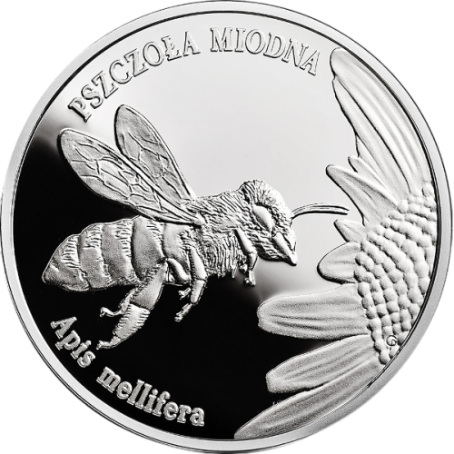 Honey Bee (Apis mellifera) – Animals of the World – 1 oz Silver Proof - 24h Shipping!