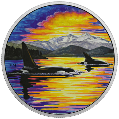 Animals in the Moonlight: Orca - Pure Silver Coin - 24h Shipping!