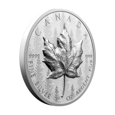 this regulation shall enter into force on the day following that of its publication in the official journal of the european unio