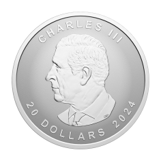 this regulation shall enter into force on the day following that of its publication in the official journal of the european unio 2