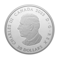 2 oz 2025 Signs of The Zodiac Silver Coin - 24h Shipping! 2