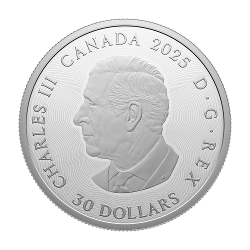 2 oz 2025 Signs of The Zodiac Silver Coin - 24h Shipping!