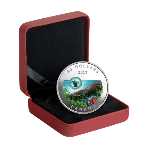 Under the Sea: Sea Turtle - Pure Silver Coin - 24h Shipping!