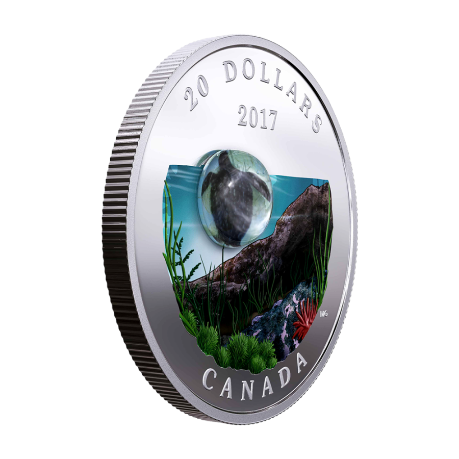 Under the Sea: Sea Turtle - Pure Silver Coin - 24h Shipping!