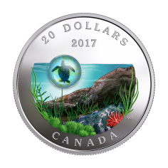 Under the Sea: Sea Turtle - Pure Silver Coin - 24h Shipping!