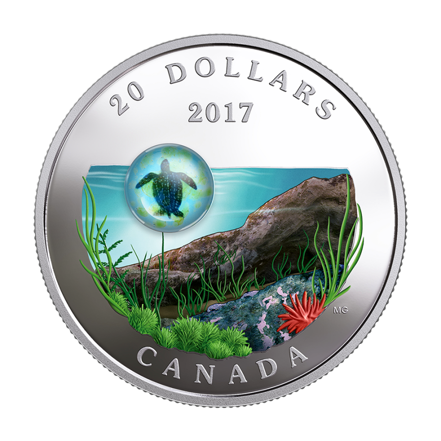 Under the Sea: Sea Turtle - Pure Silver Coin - 24h Shipping!