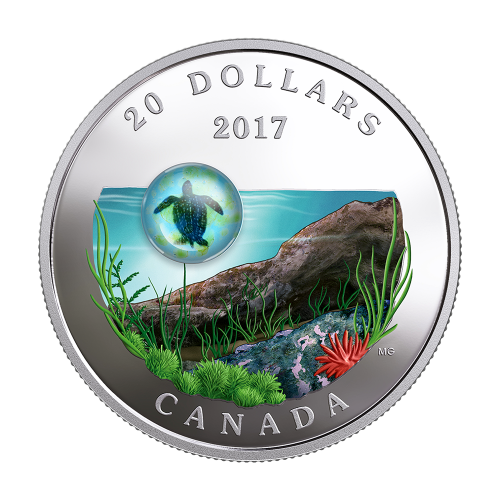 Under the Sea: Sea Turtle - Pure Silver Coin - 24h Shipping!