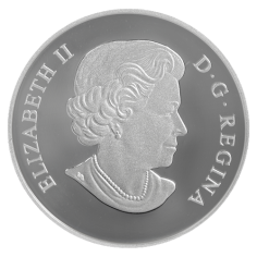 srebrna-moneta-wenecki-zolw-szklany-z-kwiatem-szerokolistnym-rewers 2