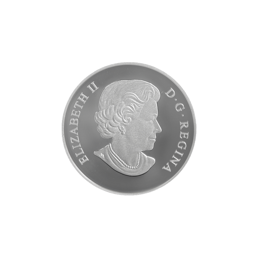 srebrna-moneta-wenecki-zolw-szklany-z-kwiatem-szerokolistnym-awers