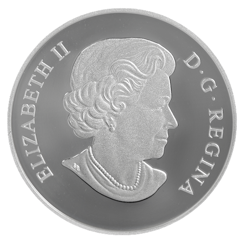 srebrna-moneta-wenecki-zolw-szklany-z-kwiatem-szerokolistnym-awers