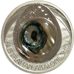 Shell Coin: Australian Abalone - Pure Silver Coin - 24h Shipping!