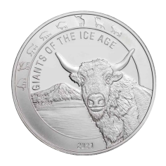 Republic of Ghana Silver Tur  - 24h Shipping!