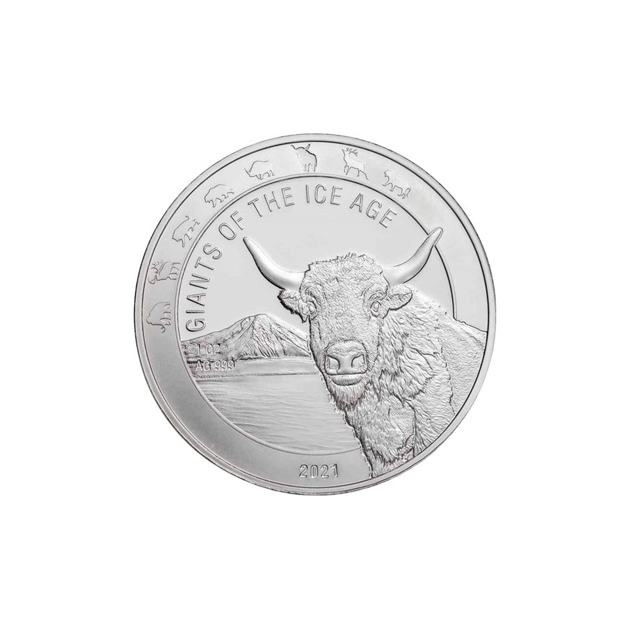 Republic of Ghana Silver Tur  - 24h Shipping!