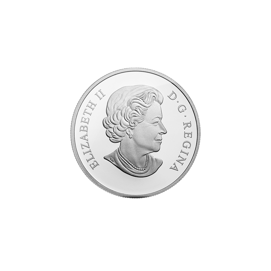 srebrna-moneta-lilia-wodna-i-zaba-lamparcia-awers