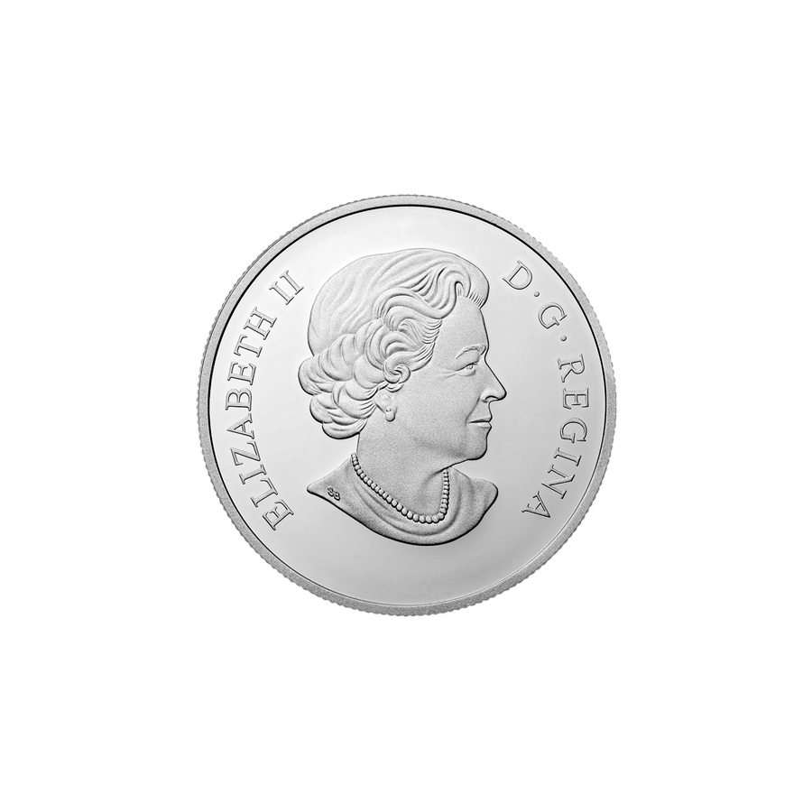 Silver Coin Crystal Raindrop - 24h Shipping!