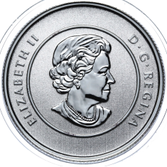 srebrna-moneta-lisc-klonu-2011-rewers 2