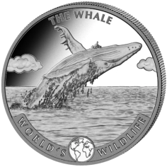 2020 1 oz Congo Whale Silver Coin  - 24h Shipping!