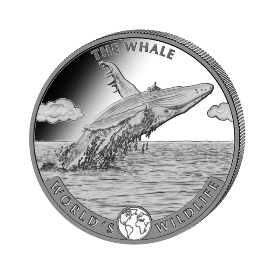 srebrna-moneta-zew-natury-wieloryb-1-uncja-rewers