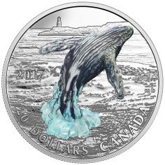 Breaching Whale - Pure Silver Coin - 24h Shipping!