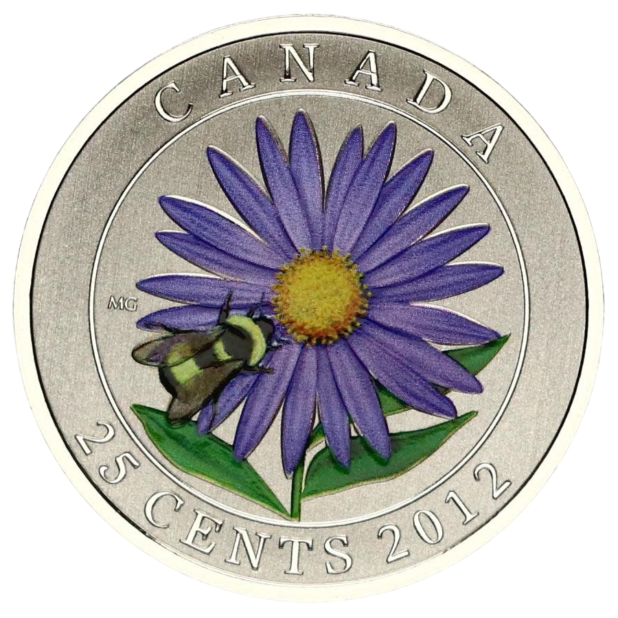 Aster with Venetian Glass Bumblebee - Pure Silver Coin - 24h Shipping!