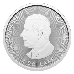 2025 2 oz Canadian Goose Silver Coin - 24h Shipping! 2