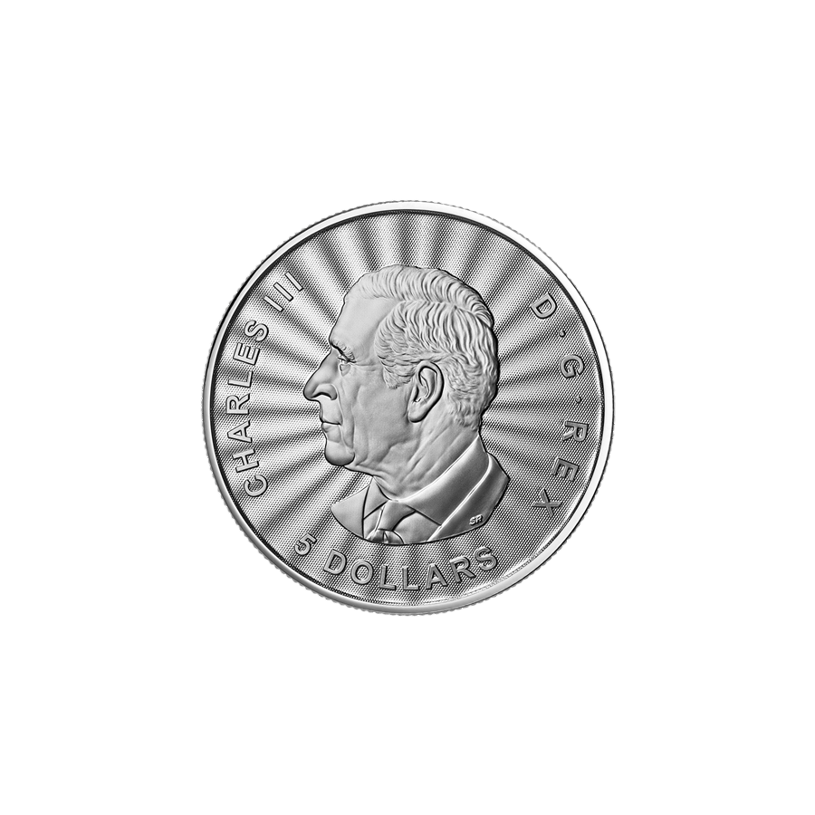 srebrna-moneta-niedzwiedz-polarny-2025-1-uncja-awers