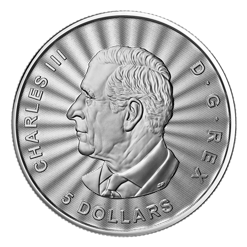 2025 Canada 1 oz. Silver Polar Bear - 24h Shipping!