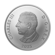 srebrna-moneta-klejnoty-koronne-broszka-diamentowa-williamson-2025-rewers (3) 2
