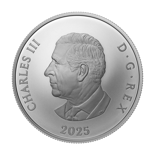 2025 Canada 1 oz Silver Williamson Diamond Brooch - 24h Shipping!