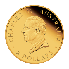 0.5 gram 2025 Australian Mini Roo Proof Gold Coin - 24h Shipping! 2