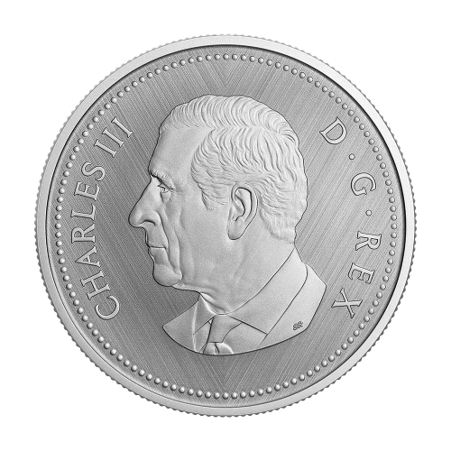 1 oz 2025 Tribute: Beaver W Mint Mark Silver Coin - 24h Shipping!