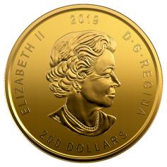 1 oz Canadian Gold Moose Coin - 24h Shipping! 2