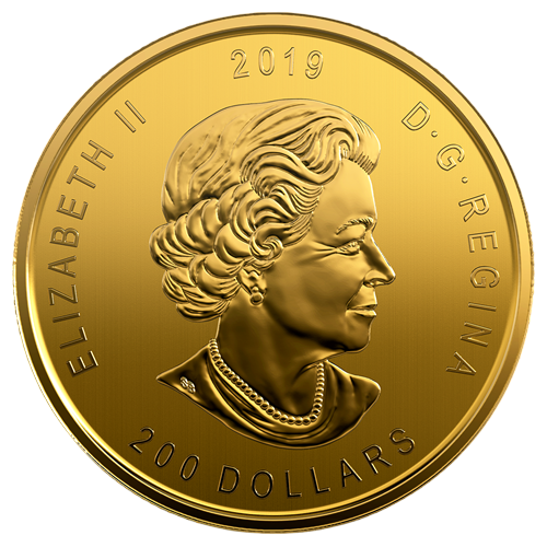 1 oz Canadian Gold Moose Coin - 24h Shipping!