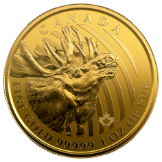 1 oz Canadian Gold Moose Coin - 24h Shipping!