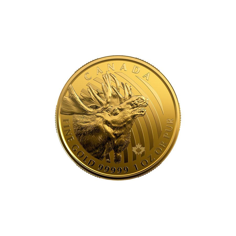 1 oz Canadian Gold Moose Coin - 24h Shipping!