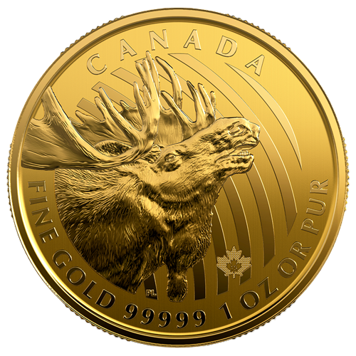 1 oz Canadian Gold Moose Coin - 24h Shipping!