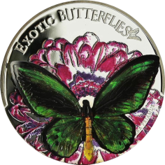 Tokelau Ornithoptera Priamus Colored Exotic 3D Butterflies - 24h Shipping!