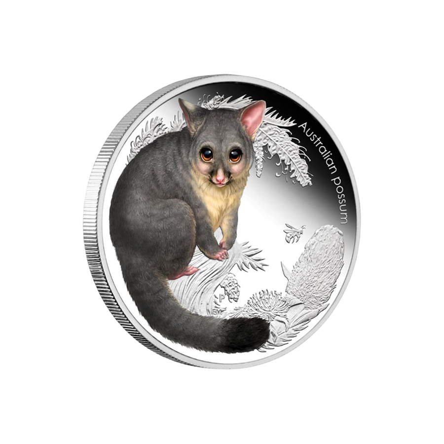 Bush Babies II Possum Silver Coin - 24h Shipping!