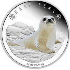 srebrna-moneta-polarna-mloda-foka-rewers