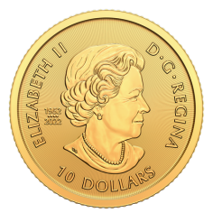 1/4 oz Canadian Bison Gold Coin - 24h Shipping! 2